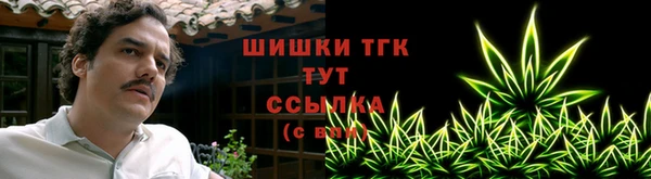 ешки Аркадак