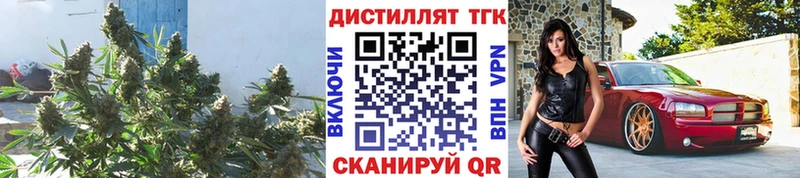 Дистиллят ТГК гашишное масло  купить   Волхов 